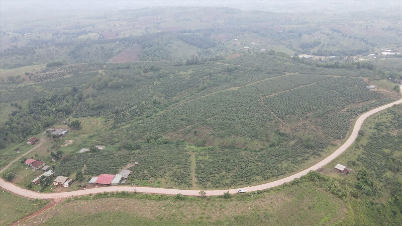 1.quang tri yeu cau ra soat lai qua trinh dau gia